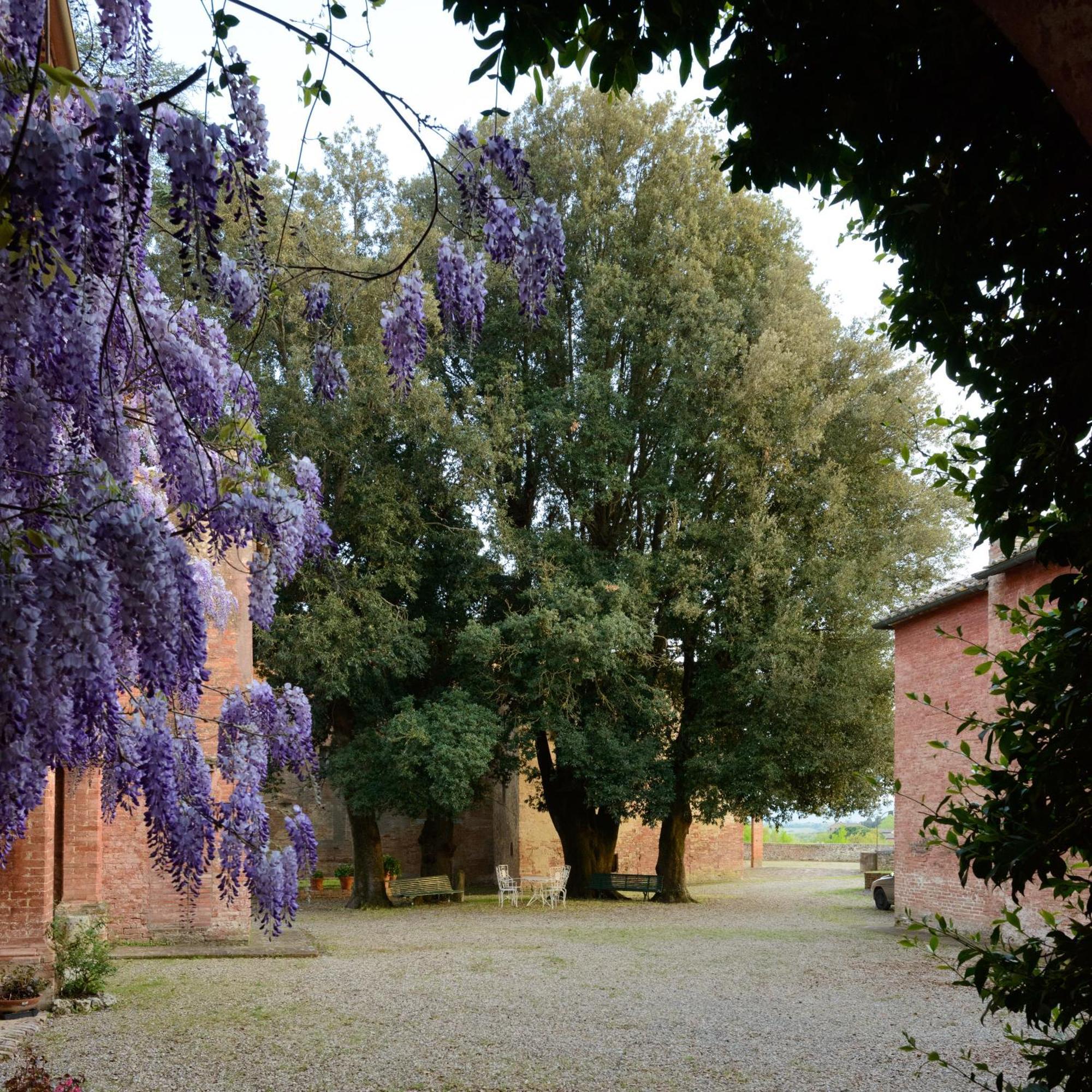 Al Glicine Di Sant'Abondio Villa Siena Dış mekan fotoğraf