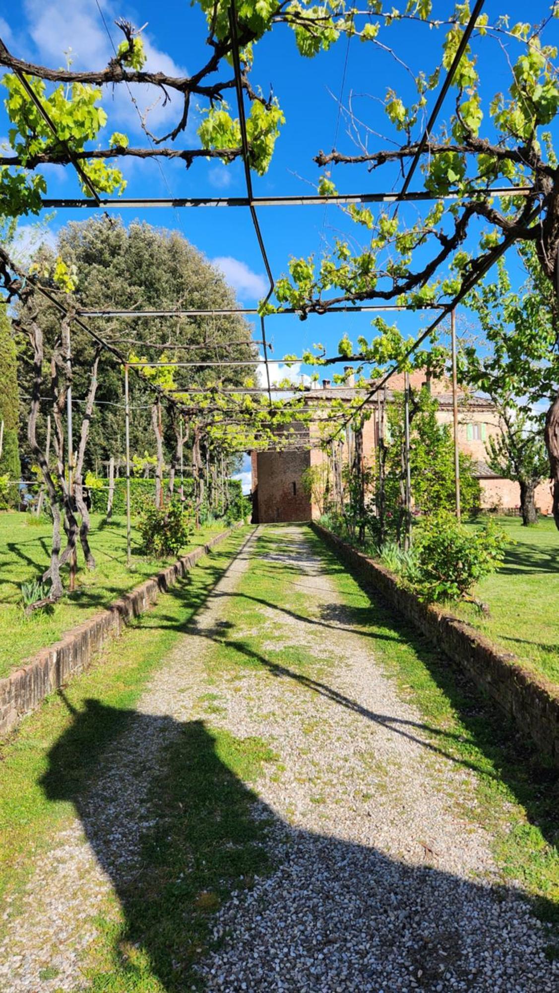Al Glicine Di Sant'Abondio Villa Siena Dış mekan fotoğraf